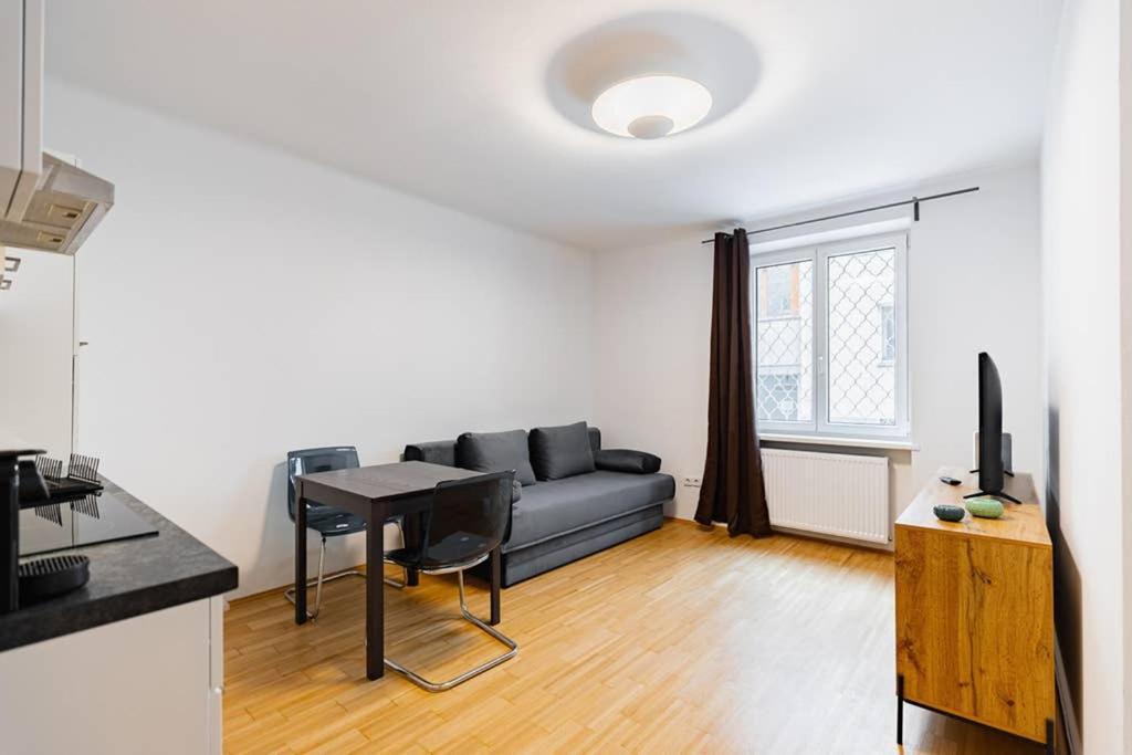 Newly-renovated, In The Heart Of Wiedeń